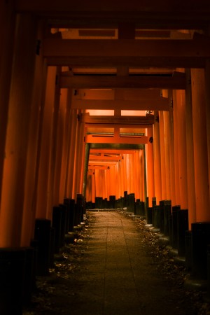 ViContrast photography Fushimi Inari