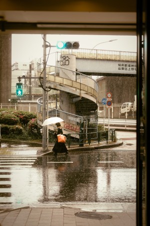 ViContrast street photography of rainy day in Tokyo